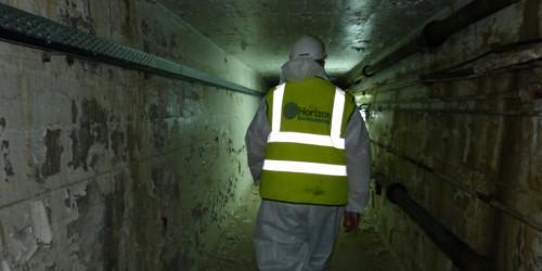 Our portfolio demonstrates capability across challenging contamination scenarios: